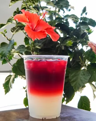 El Cielito Coffee, business photo 2