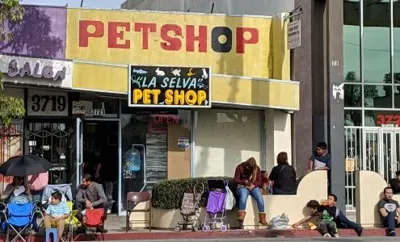 La Selva Pet Shop, business photo 1