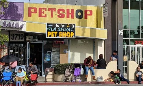 La Selva Pet Shop business photo