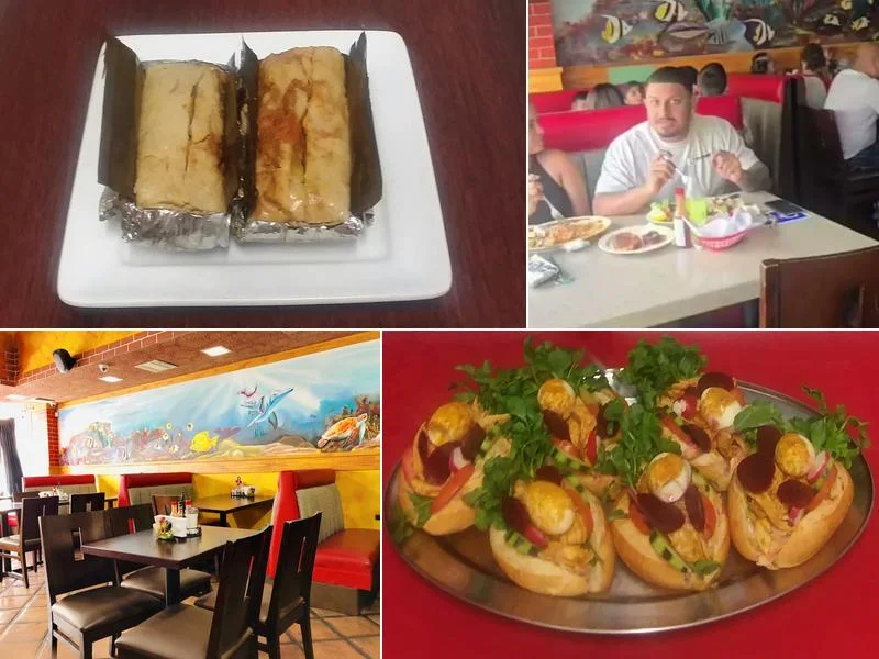 Mi Lindo Cuscatlan Restaurant y Pupuseria business photo