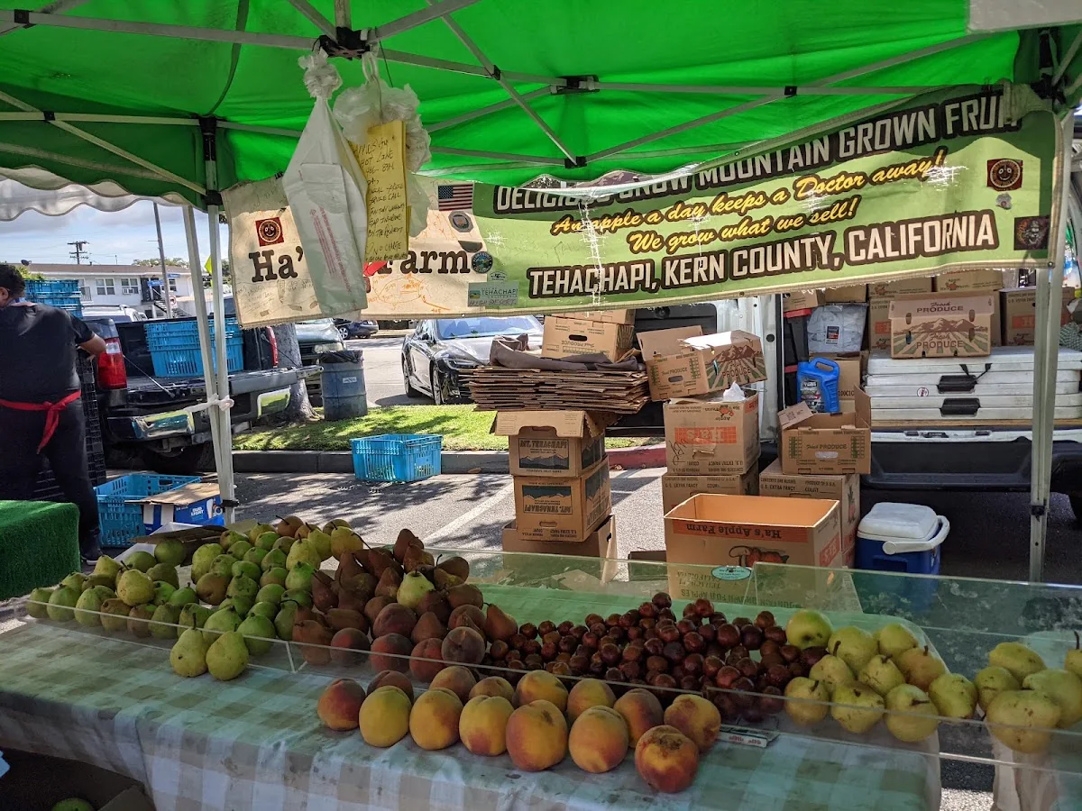 South Gate Farmers' Market business photo