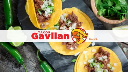 Tacos El Gavilan, business photo 3