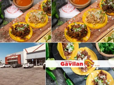 Tacos El Gavilan, business photo 1